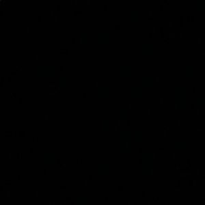 Meet your Posher, Damian